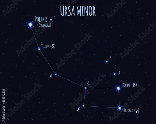 Ursa Minor (Little Bear, Little Dipper) constellation, vector illustration with the names of basic stars against the starry sky