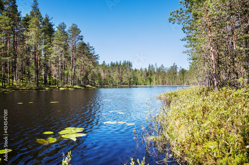 Summer landcape with river and forest photo