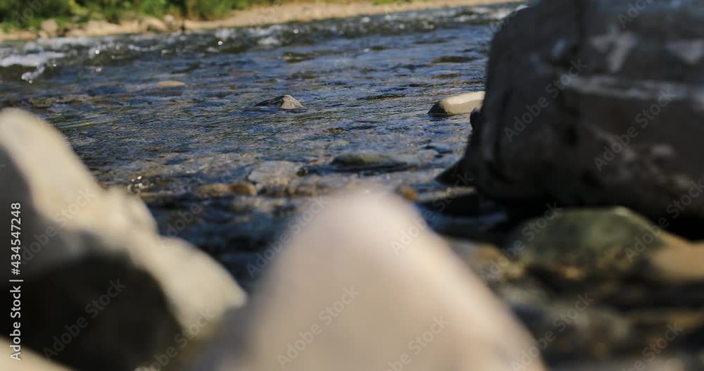 Wild Mountain River Close Up Abundant Clear Stream. Detail Static Shot of Babbling Creek with Stone Boulders Flowing. Rock Rapid in Swift Splashing Water. Ukraine, Carpathian. Footage Shot in 4K. Wild Mountain River Close Up Abundant Clear Stream. Detail Static Shot of Babbling Creek with Stone Boulders Flowing. Rock Rapid in Swift Splashing Water. Ukraine, Carpathian. Footage Shot in 4K.