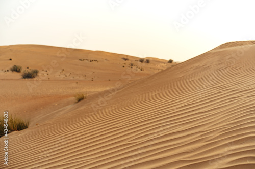 Yellow sand dunes in Dubai desert for a background
