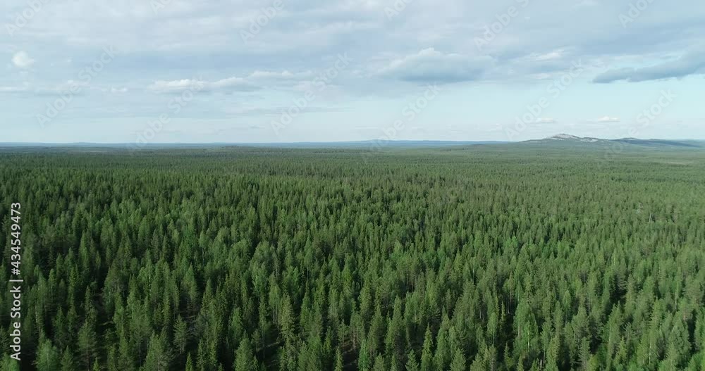 Aerial view of summer forest. Flying over fir forest at day time. Nature woods landscape.
Aerial view of summer forest. Flying over fir forest at day time. Nature woods landscape.