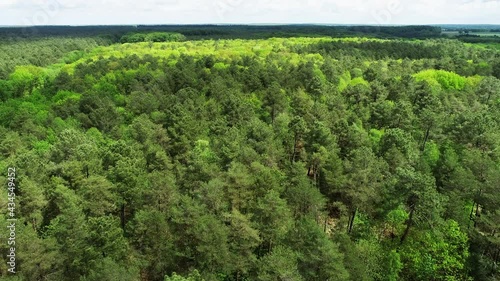 Vue aérienne de la foret de Bercé dans la sarthe au printemps