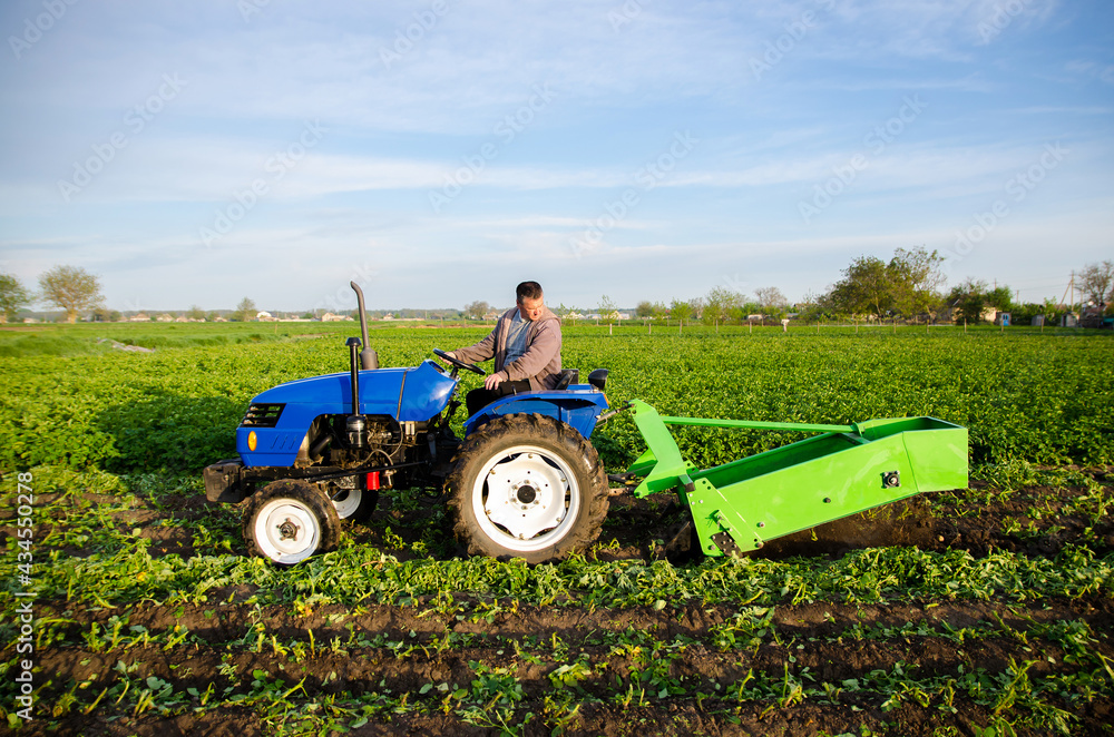 Obraz premium A tractor with a digging unit digs up land vegetables. The use of modern technology on the farm. Liberation of people from heavy land work. Farming and farmland. Countryside. Food production