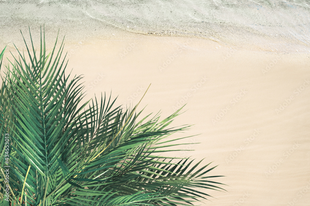 Top and aerial view on tropical sand beach, palm tree and sea. Ocean coastline. Drone photo. Background. Copy space Top and aerial view on tropical sand beach, palm tree and sea. Ocean coastline. Drone photo. Background. Copy space