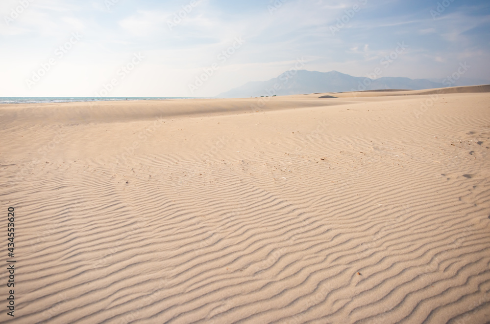 Desert Background Landscape with sand waves Desert Background Landscape with sand waves