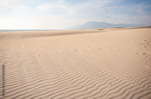 Desert Background Landscape with sand waves