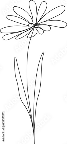 Continuous line Daisy floral drawing, (Bellis perennis) April birthflower, vector