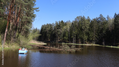 Fototapeta Naklejka Na Ścianę i Meble -  fallen tree branch in river view