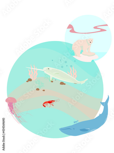Sea Life Scenery and Elements © clementine