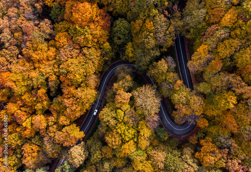 Aerial view of curvy road in beautiful autumn forest. Top view of roadway with autumn colors. Road on Fruska gora mountain in Serbia,Vojvodina