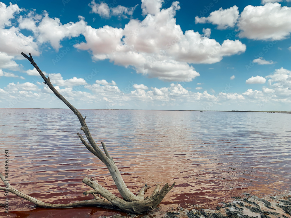 Fototapeta premium beautiful landscape of salt lake with rose water and blue sky