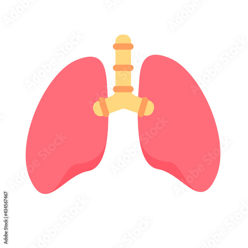Lung icon. Lungs help to breathe oxygen into the human body. Body care concept