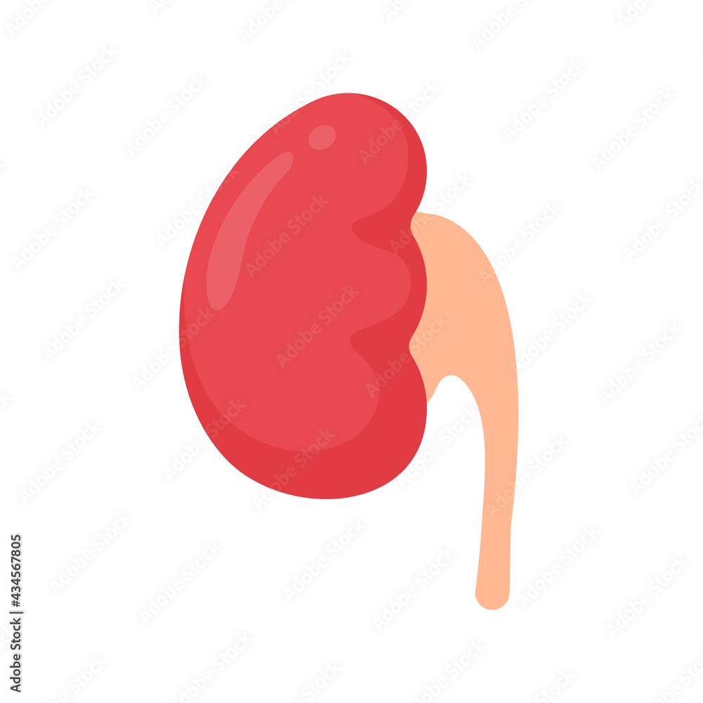 Kidney icon. A red kidney resembling a bean. Serves to filter waste to collect the gastric ulcer. Kidney icon. A red kidney resembling a bean. Serves to filter waste to collect the gastric ulcer.