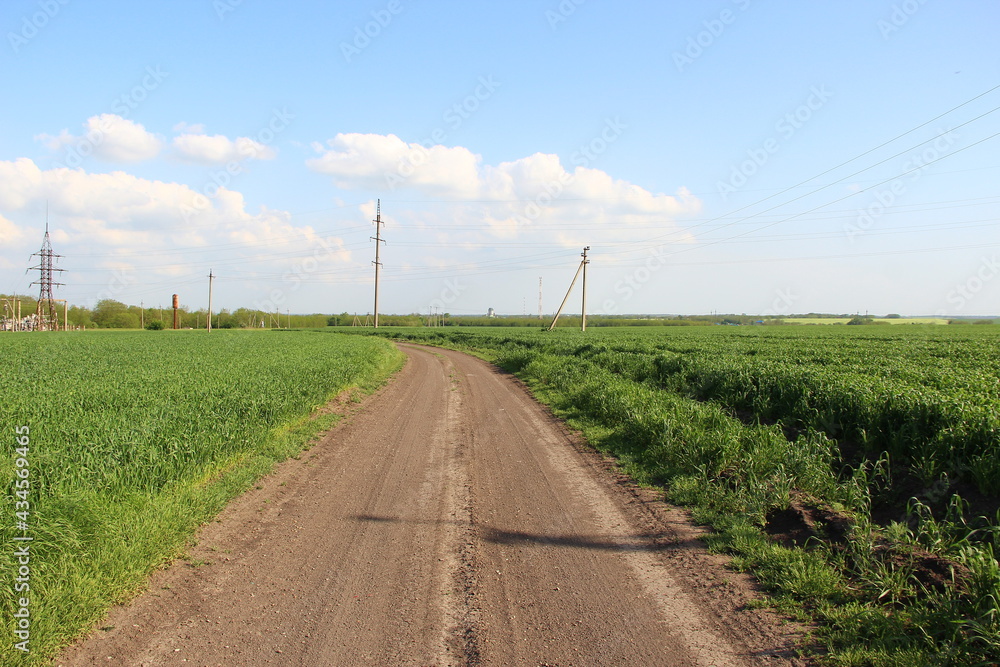 Dirt road through agricultural fields against the background of electrical lines