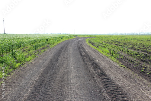 Dirt road through agricultural fields against the background of electrical lines and traces of machinery