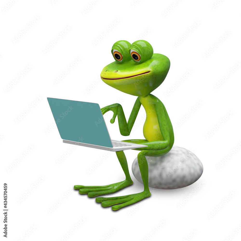 Naklejka premium 3d Illustration of a Frog with a Laptop on a Stone