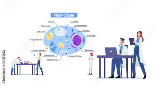 Scientists Male and Female Characters Learning Plasmodium Parasites. Tiny Microbiology Doctor at Huge Infographics