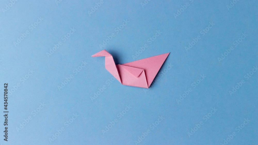 The figure of the bird from a pink sheet in the origami style on a blue background, folded and laid back. Step-by-step instruction. In center of the blue background. Pastime, hobby, activities with The figure of the bird from a pink sheet in the origami style on a blue background, folded and laid back. Step-by-step instruction. In center of the blue background. Pastime, hobby, activities with