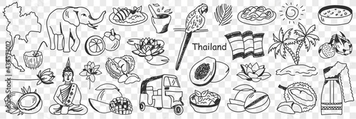 Thailand cultural symbols doodle set. Collection of hand drawn various thai signs elephant parrot bus tourist papaya palm tree sun beach sea map cocktail costume isolated on transparent background 