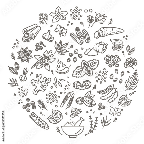 Web icon set - spices, condiments and herbs