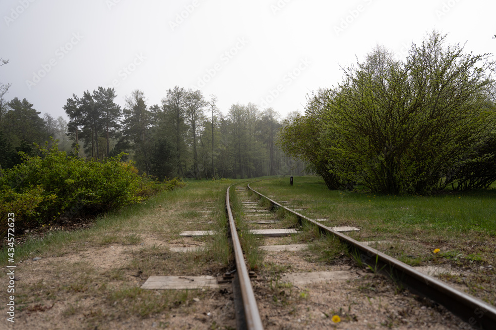 narrow-gauge railway where green grass grows along the edges and trees stand in the distance in thick fog