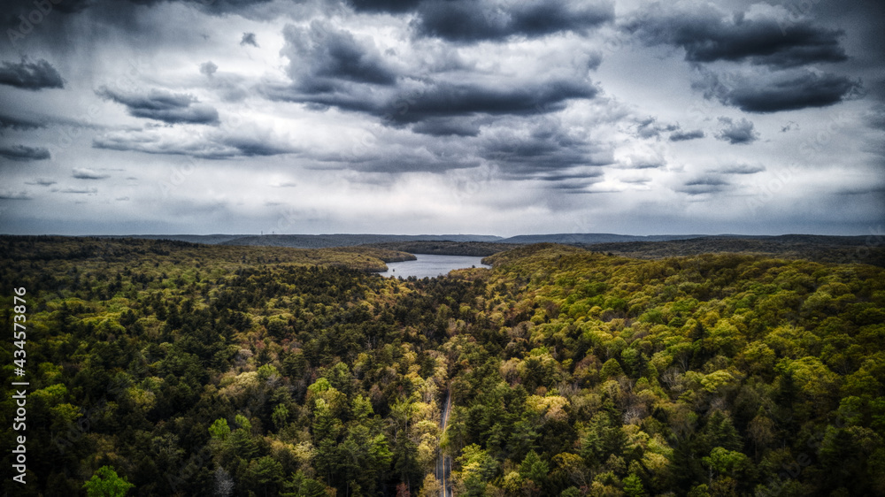 Fototapeta premium Nature