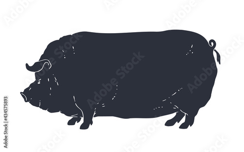 Pig, pork. Vintage logo, retro print for Butchery meat shop, pig silhouette. Logo template for meat business, meat shop. Isolated black silhouette pig on white background. Vector Illustration