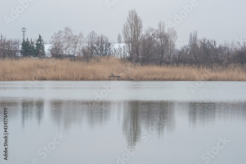 lake landscape with reflection of reeds on calm water in cloudy weather