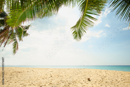 Sunny Tropical Beach With Palm Leaves in surin island Phuket Thailand.