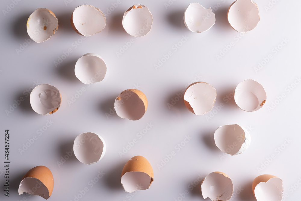 shells from eggs on a white background shells from eggs on a white background