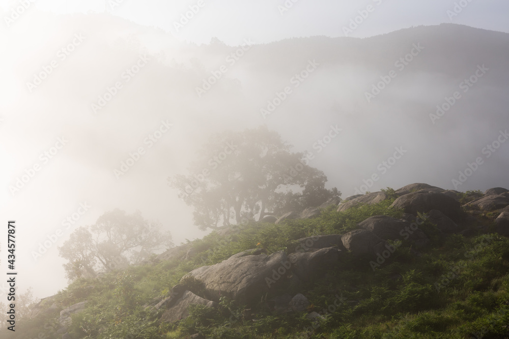 Sunrise with fog on the Passadiços do Paiva in the district of Aveiro, Portugal Sunrise with fog on the Passadiços do Paiva in the district of Aveiro, Portugal