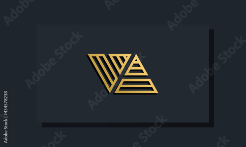 Elegant line art initial letter VA logo.