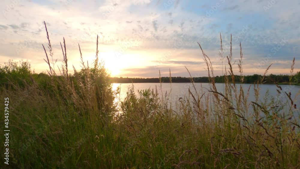 Landscape with long grass waving in the wind on a background of beautiful sky after sunset over lake . High quality 4k footage Landscape with long grass waving in the wind on a background of beautiful sky after sunset over lake . High quality 4k footage
