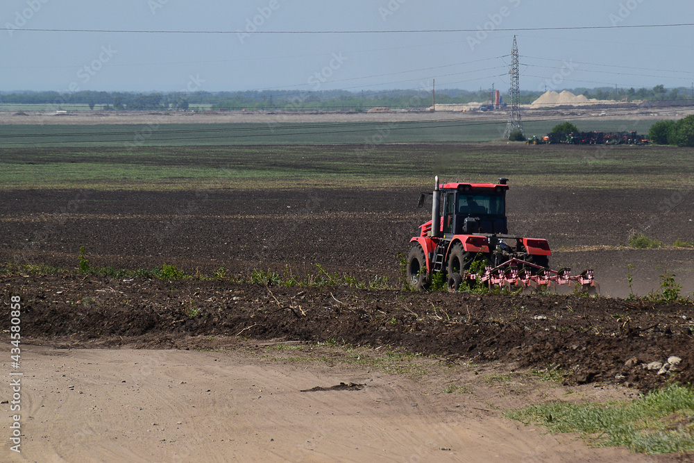 Fototapeta premium spring sowing in the field