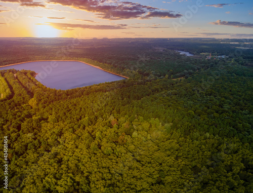 Summer forest lake with green forests panorama trees © ungvar