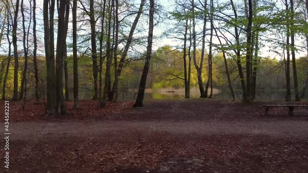 View of the Empty Pond lake in Gdańsk. Flight out from the forest, over the lake and above the trees. View of the Empty Pond lake in Gdańsk. Flight out from the forest, over the lake and above the trees.