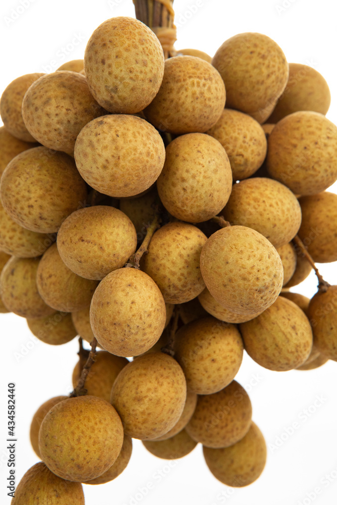 Fruit Kingdom, Taiwan, summer, fruit, Dimocarpus longan Fruit Kingdom, Taiwan, summer, fruit, Dimocarpus longan