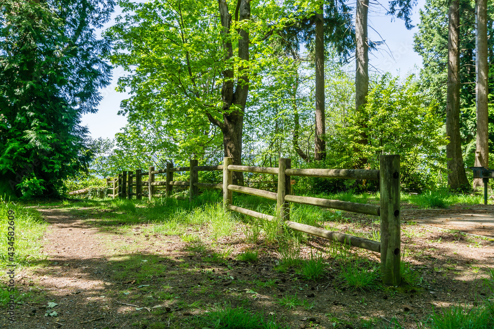 Park Path And Fence 2