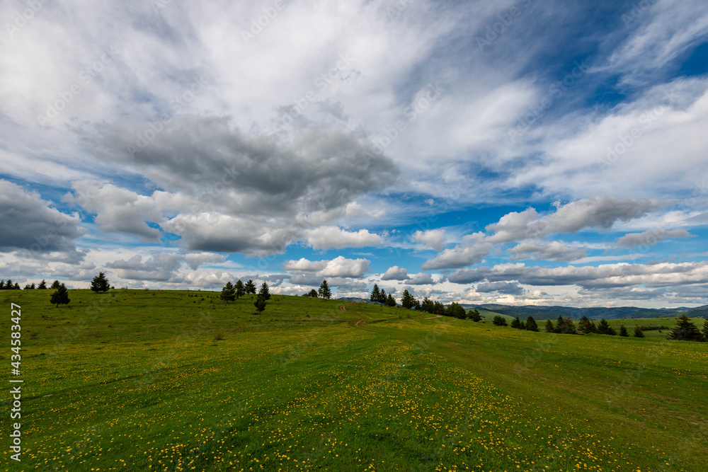 View from the top of the mountain at springtime in the Carpathian mountains, wild flowers in the foreground. View from the top of the mountain at springtime in the Carpathian mountains, wild flowers in the foreground.