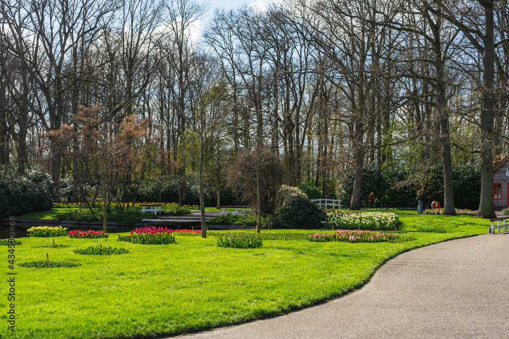Scene from Keukenhof Park with Flower Arrangements Scene from Keukenhof Park with Flower Arrangements