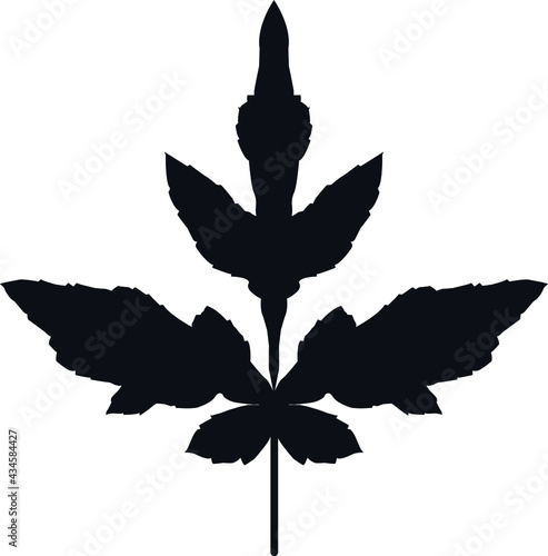 black exotic leaf on white background