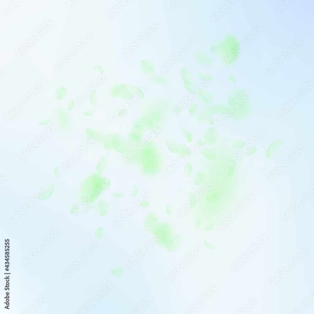 Green flower petals falling down. Astonishing roma Green flower petals falling down. Astonishing roma