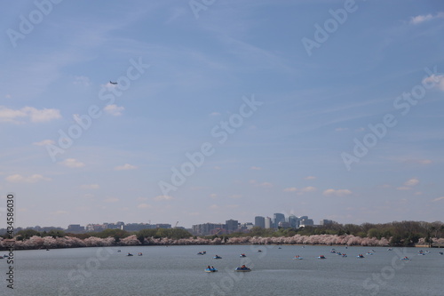 boats in the tidal basin