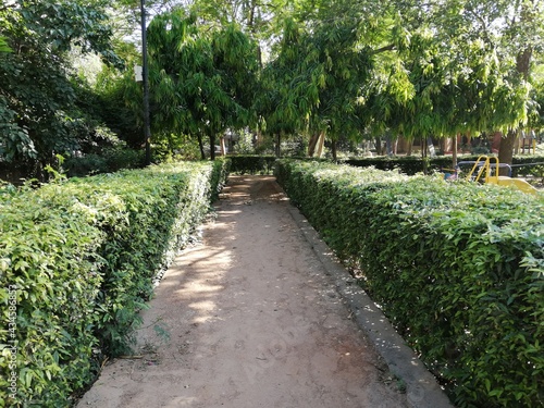 Pathway with border plants on either side in a public park in Delhi