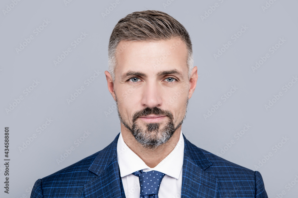 mature businessman portrait with grizzled hair in formal suit, businessman mature businessman portrait with grizzled hair in formal suit, businessman