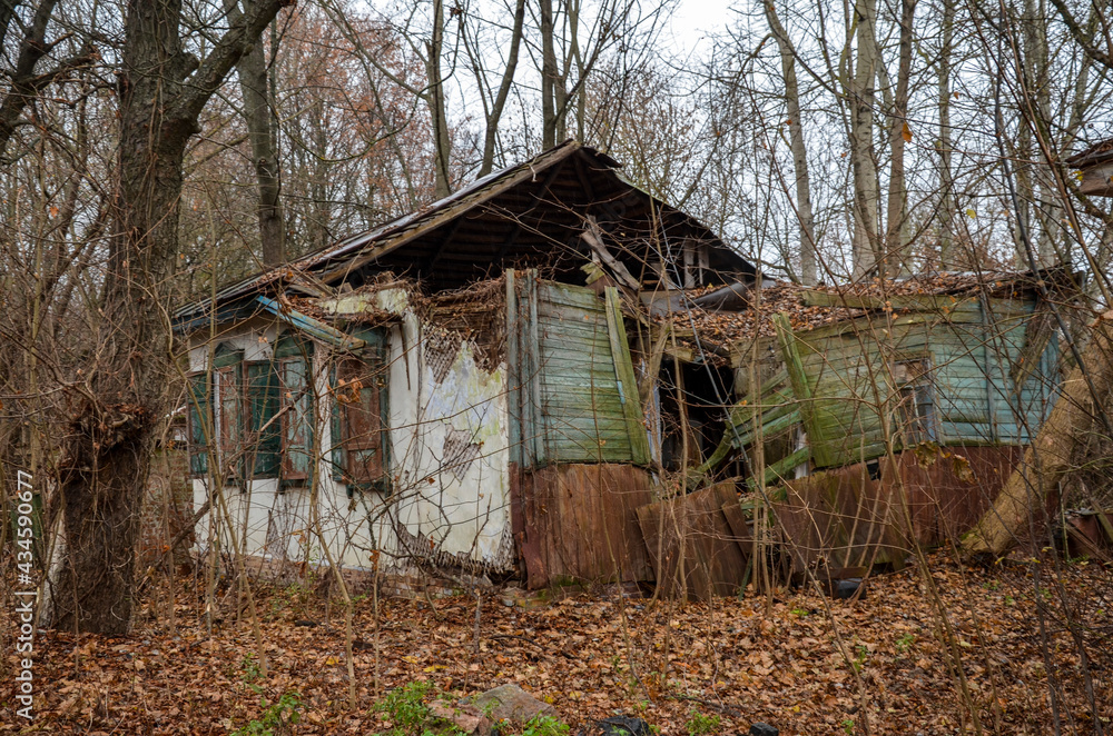 Abandoned houses is surrounded by thickets of trees and shrubs in the Chernobyl exclusion zone, Ukraine Abandoned houses is surrounded by thickets of trees and shrubs in the Chernobyl exclusion zone, Ukraine