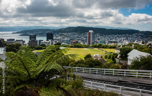 Scenic View of Wellington, New Zealand