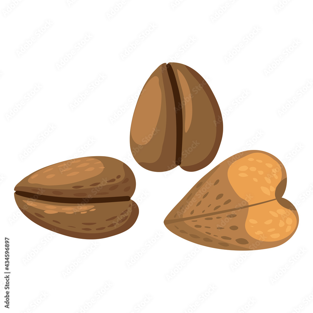 Buckwheat groat, healthy nutrition product. Vector hand draw flat trendy style white background Buckwheat groat, healthy nutrition product. Vector hand draw flat trendy style white background