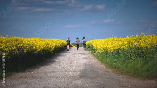 Femmes qui courrent a traves les champs de colza photo