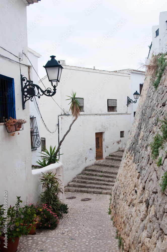 Fototapeta premium Narrow street at Altea. White houses, plants along the street, no people. Spain.